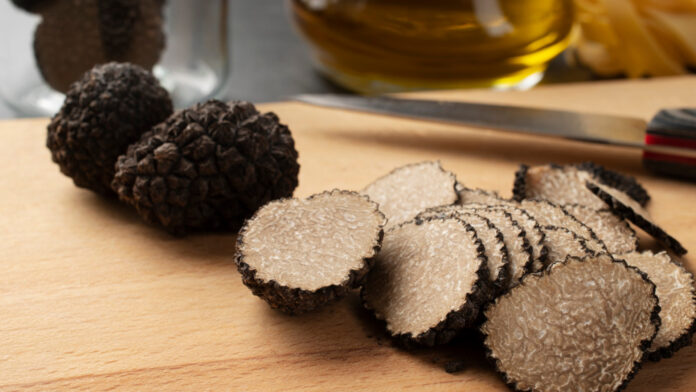 Truffes fraîches : un délice à partager pour les fêtes 